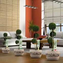 Cône D'Arrosage D'absence : 45 à 60 Cm 30 Cl : L, Jaune - Pack 3+1 7 Cône D'Arrosage D'absence : 45 à 60 Cm 30 Cl : L, Jaune - Pack 3+1 -Jardin Plantes Magasin 177135 007