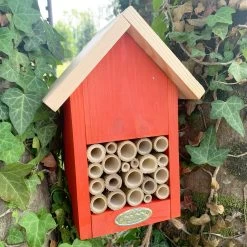 Hôtel à Insectes - Coloris Aléatoire -Jardin Plantes Magasin 1edbe528294d8f3f
