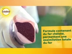 Solabiol Soseq01 | Sequestrene Antichlorose 100g | Action Longue Durée | Fabriq 7 Solabiol Soseq01 | Sequestrene Antichlorose 100g | Action Longue Durée | Fabriq -Jardin Plantes Magasin 34a89de4028d27b8