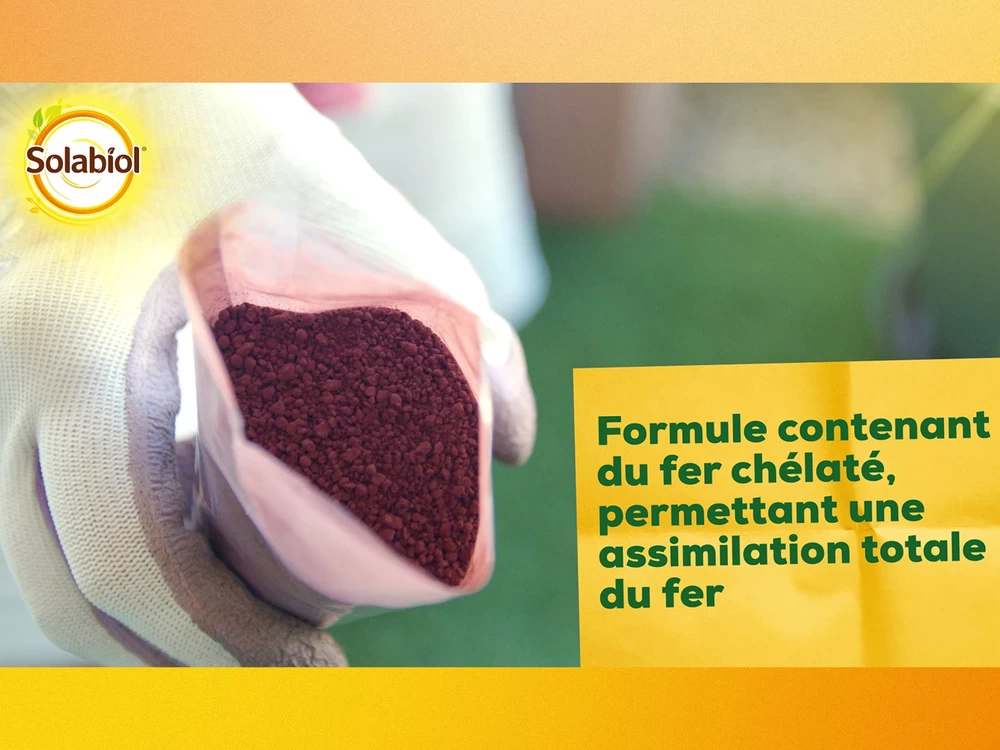 Solabiol Soseq01 | Sequestrene Antichlorose 100g | Action Longue Durée | Fabriq 3 Solabiol Soseq01 | Sequestrene Antichlorose 100g | Action Longue Durée | Fabriq – Image 3