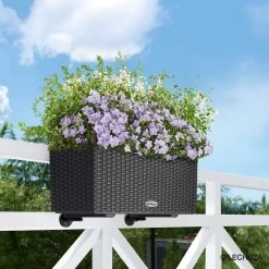 LECHUZA Supports Pour Balconnière X2 En Polypropylène, Noir -Jardin Plantes Magasin 382602 009