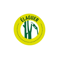 Batterie 20v - Pour Tronçonneuse électrique 2en1 -Jardin Plantes Magasin 628d72ece0d381.04844299