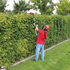 Einhell Taille-haie Sans Fil Ge-hh 18/45 Li T-solo 18v -Jardin Plantes Magasin 62fe0b2288f983.48214343