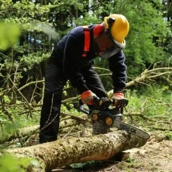 Pack Tronçonneuse Sans Fil 1200w Guide 35 Cm Texas Csx4000 Chargeur Et Batterie 9 Pack Tronçonneuse Sans Fil 1200w Guide 35 Cm Texas Csx4000 Chargeur Et Batterie -Jardin Plantes Magasin 63503ef559e729.30467850