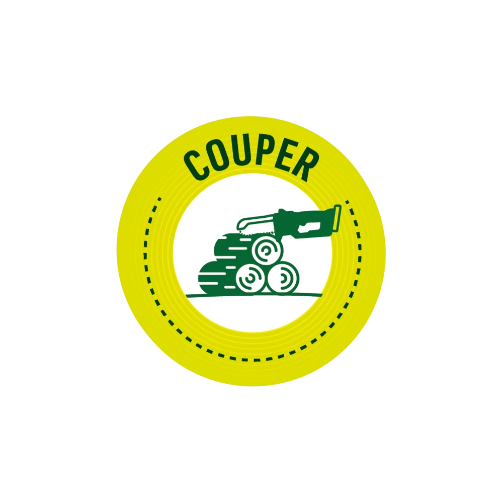 Pack Tronçonneuse Sans Fil Manche Télescopique + Lot De 2 Chaînes-vert 2 Pack Tronçonneuse Sans Fil Manche Télescopique + Lot De 2 Chaînes-vert – Image 2