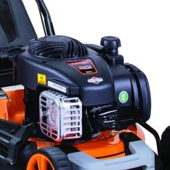 Tondeuse à Gazon Mulching Briggs Stratton Coupe 46cm Villager Prime 4111b -Jardin Plantes Magasin 637fd8205fc414.17615046