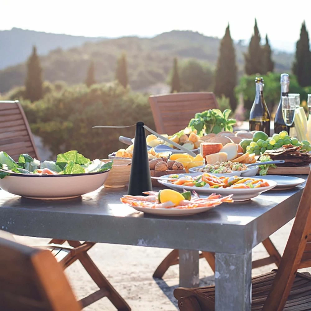 Anti Insectes à Poser Ou à Suspendre 2 Anti Insectes à Poser Ou à Suspendre – Image 2