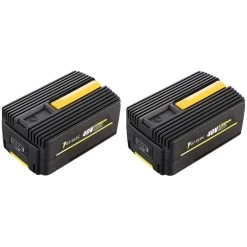 Pack 2 Batteries Gt Elec 40 Volts : Capacité 4 Ah + Capacité 2 Ah
