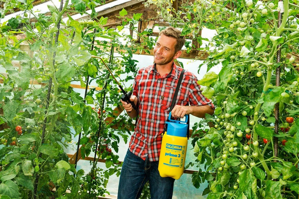 Gloria Pulvérisateur A Main Gloria - Modele Prima 3 - Avec Lance Et Sangle - Réservoir Polyéthylene - 3l Pour Une Pression De 2 Gloria Pulvérisateur A Main Gloria - Modele Prima 3 - Avec Lance Et Sangle - Réservoir Polyéthylene - 3l Pour Une Pression De – Image 2