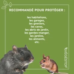 Répulsif Rats, Souris & Mulots - 500 Ml -Jardin Plantes Magasin 6440382b6488e6.81824932