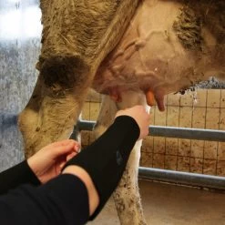 Paire De Manchettes De Protection En Néoprène - Xxl -Jardin Plantes Magasin 6453a78ebea448.70303060