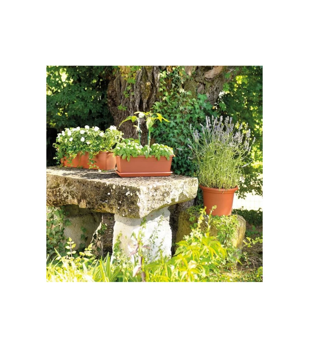 Jardiniere Day R Cotto - Coloris Terre Rouge - 50cm 4 Jardiniere Day R Cotto - Coloris Terre Rouge - 50cm – Image 4
