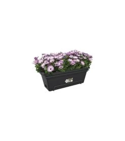 Elho Balconniere Green Basics Allin1 55 - Extérieur & Balcon - Xl - L 32,3 X W 56,4 X H 22,7 Cm - Vivre Noir -Jardin Plantes Magasin 645cf563792c00.96749372