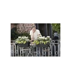 Elho Balconniere Green Basics Allin1 55 - Extérieur & Balcon - Xl - L 32,3 X W 56,4 X H 22,7 Cm - Vivre Noir -Jardin Plantes Magasin 645cf56390dbb6.90868122