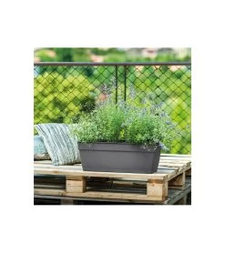 Jardiniere Ninfea R Anthracite A Réserve D'eau - Coloris Gris Anthracite - 60cm