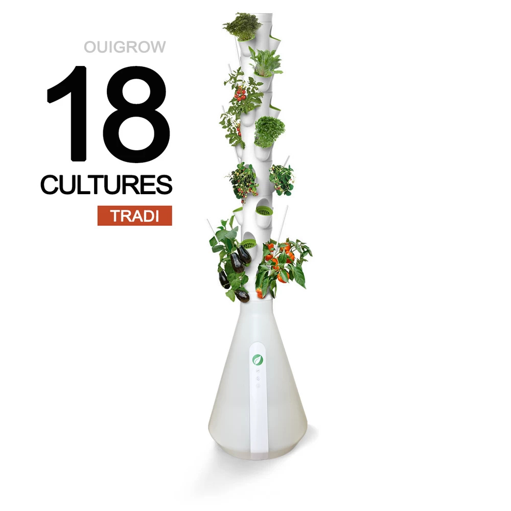 Ouigrow Tradi 18 Cultures 1 Ouigrow Tradi 18 Cultures