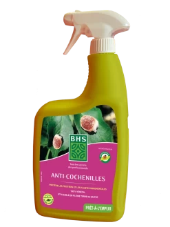 Acvp700 |prêt-à-l'emploi | Anti-cochenilles D'origine Végétale | 700ml