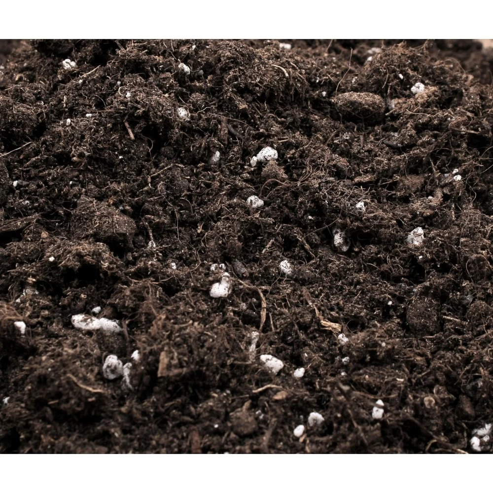 Terreau Terra Professional Sac De 50 Litres 2 Terreau Terra Professional Sac De 50 Litres – Image 2