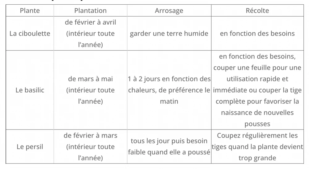 Cultivea Kit Prêt à Pousser D’herbes Aromatiques - Jardin Potager D’intérieur - (ciboulette, Basilic Persil) 3 Cultivea Kit Prêt à Pousser D’herbes Aromatiques - Jardin Potager D’intérieur - (ciboulette, Basilic Persil) – Image 3
