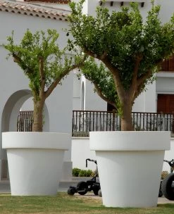 Pot De Fleurs Magnolia 160 ø160x152cm - Anthracite 5 Pot De Fleurs Magnolia 160 ø160x152cm - Anthracite -Jardin Plantes Magasin 6470a364705c04.06641420