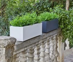 Jardinière Jara 100x35x32cm - Taupe 7 Jardinière Jara 100x35x32cm - Taupe -Jardin Plantes Magasin 6470a365d9ac34.48546410