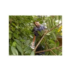 Black & Decker Taille-haie 550w Lame 60 Cm Black + Decker Behts 451+c285 Lame Double Coupe Double Interrupteur -Jardin Plantes Magasin 6477ea4a77e9b4.74800830