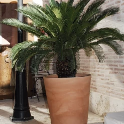 Pot De Fleurs Gerbera ø50x59,5cm - Couleur Terracota -Jardin Plantes Magasin 6478c7f37132f4.43209447