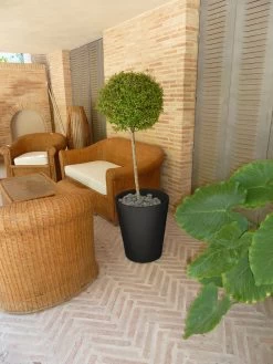 Pot De Fleurs Gerbera ø50x59,5cm - Anthracite 5 Pot De Fleurs Gerbera ø50x59,5cm - Anthracite -Jardin Plantes Magasin 6478c7f4b074b2.90633905