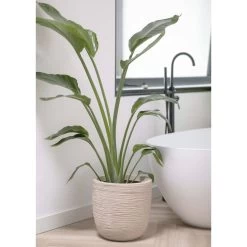 Pot à Fleurs Waste Rib 43x41 Cm Beige Terrazzo 10 Pot à Fleurs Waste Rib 43x41 Cm Beige Terrazzo -Jardin Plantes Magasin 6479895e5992f2.75165785