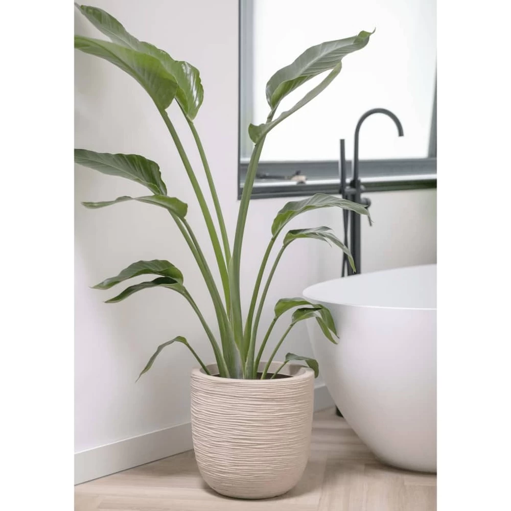 Pot à Fleurs Waste Rib 43x41 Cm Beige Terrazzo 4 Pot à Fleurs Waste Rib 43x41 Cm Beige Terrazzo – Image 4