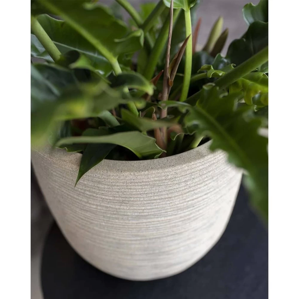 Pot à Fleurs Waste Rib 43x41 Cm Beige Terrazzo 3 Pot à Fleurs Waste Rib 43x41 Cm Beige Terrazzo – Image 3