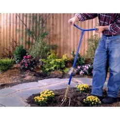 Mini Griffe Doré -Jardin Plantes Magasin 6480d36cc49781.79193413