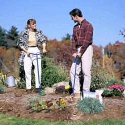 Mini Griffe Doré -Jardin Plantes Magasin 6480d36cdb0728.04410384