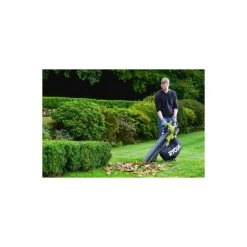 Souffleur Aspiro-broyeur Ryobi 36v Rbv36b -Jardin Plantes Magasin 648318384c7a39.67198189