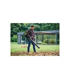 Ryobi Souffleur A Dos 36v Oneplus Brushless - Sans Batterie Ni Chargeur Ry36bpxa-0 -Jardin Plantes Magasin 6483183979ebd5.29941827