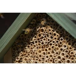 Hôtel à Insectes Naturel, Rouge Et Vert 11 Hôtel à Insectes Naturel, Rouge Et Vert -Jardin Plantes Magasin 6483189eee8da2.11376769