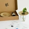 Coffret De Germination