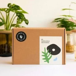 Coffret De Germination 7 Coffret De Germination -Jardin Plantes Magasin 64871012cf5773.36527871