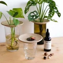 Coffret De Germination 6 Coffret De Germination -Jardin Plantes Magasin 64871012d300e2.81641891