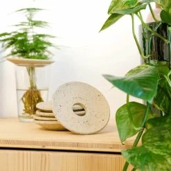 Coupelle D'hydroculture -Jardin Plantes Magasin 648761292b6a81.51148422