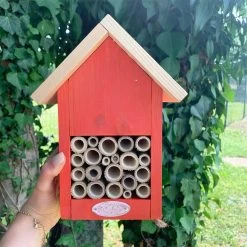 Hôtel à Insectes - Coloris Aléatoire -Jardin Plantes Magasin 7e290d146be6ac27