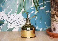 Vaporisateur En Laiton Doré Pour Plantes D'intérieur 7 Vaporisateur En Laiton Doré Pour Plantes D'intérieur -Jardin Plantes Magasin 829216 001