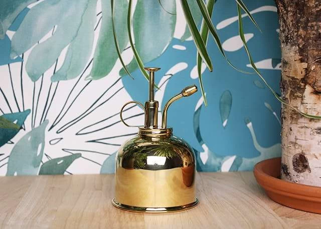 Vaporisateur En Laiton Doré Pour Plantes D'intérieur 3 Vaporisateur En Laiton Doré Pour Plantes D'intérieur – Image 3