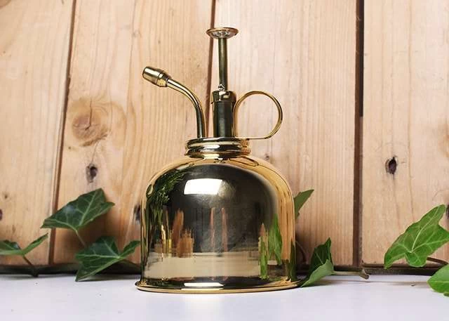 Vaporisateur En Laiton Doré Pour Plantes D'intérieur 5 Vaporisateur En Laiton Doré Pour Plantes D'intérieur – Image 5