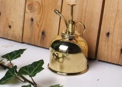 Vaporisateur En Laiton Doré Pour Plantes D'intérieur